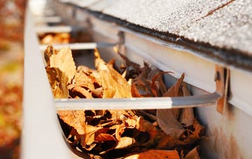 Peel Common gutter cleaning companies