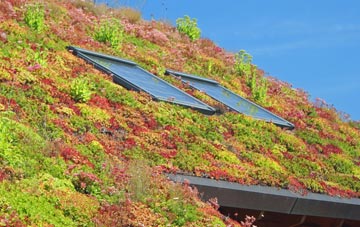 Peel Common living roof systems